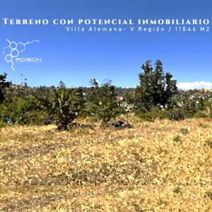 Terreno 1 há. potencial desarrollo inmobiliario