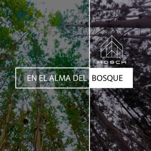 Lote Rustico inserto en loteo a minutos de playa