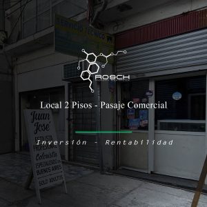 Local Comercial - 2 Pisos en Pasaje comercial