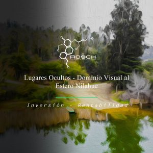 Increíble Terreno de 1HA con vista panorámica al estero Nilahue