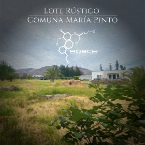 Parcela con 2 Construcciones Solida y Piscina